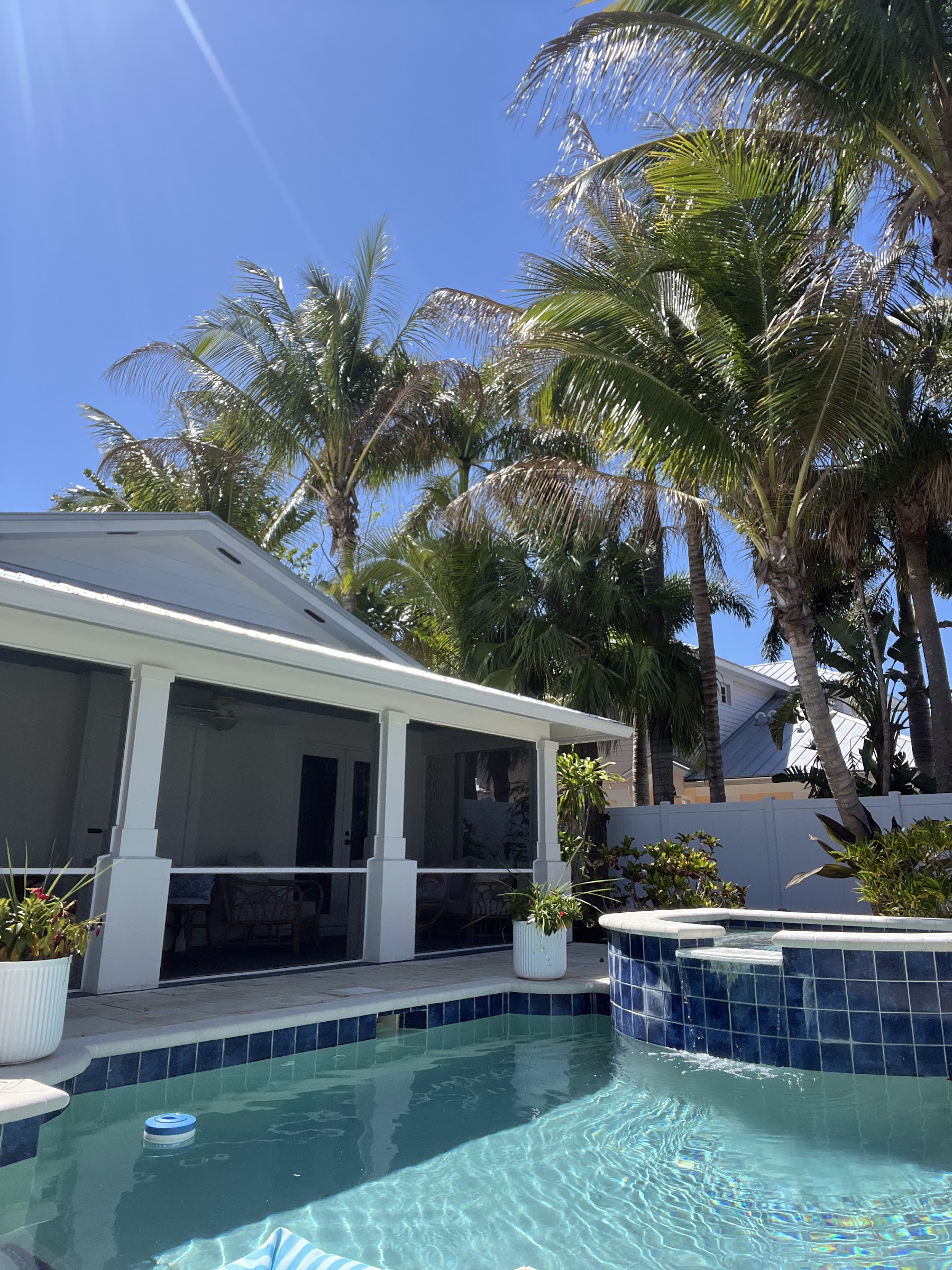Pool and patio surrounded by tropical palms